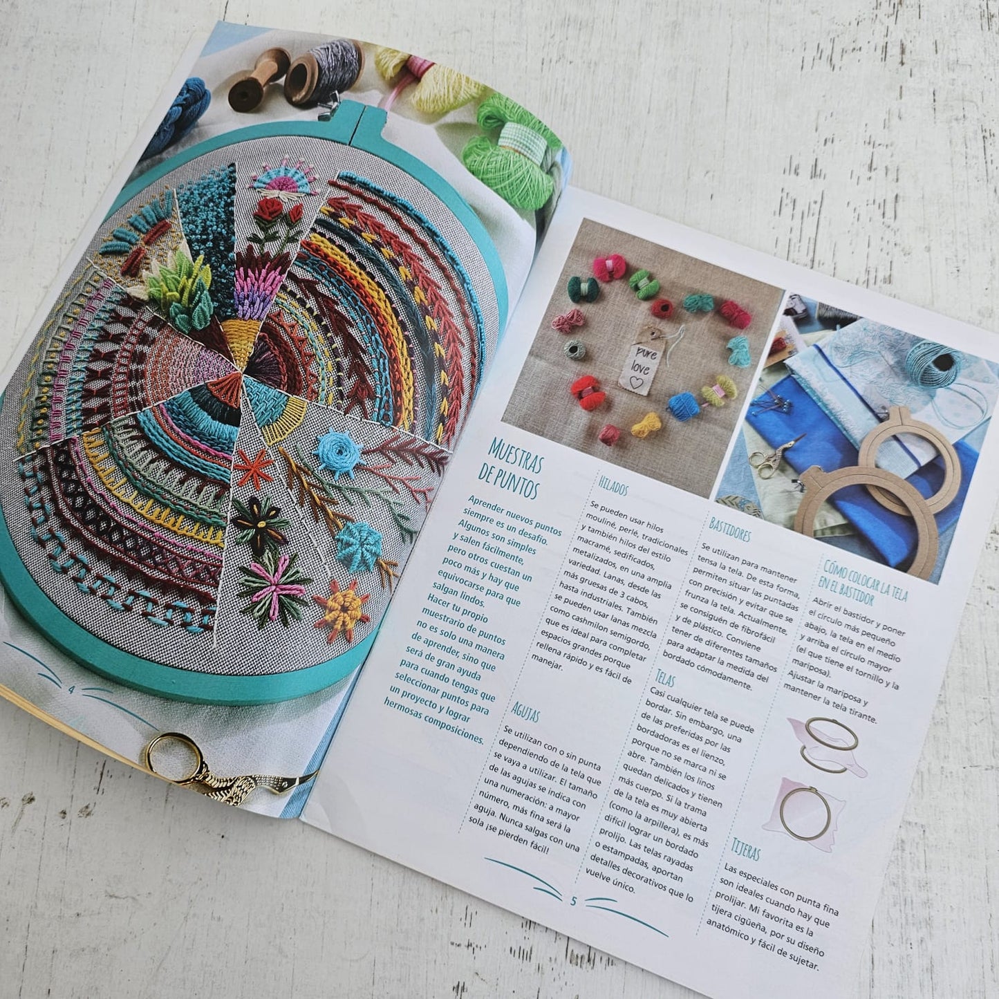Revista guía de puntos para bordar