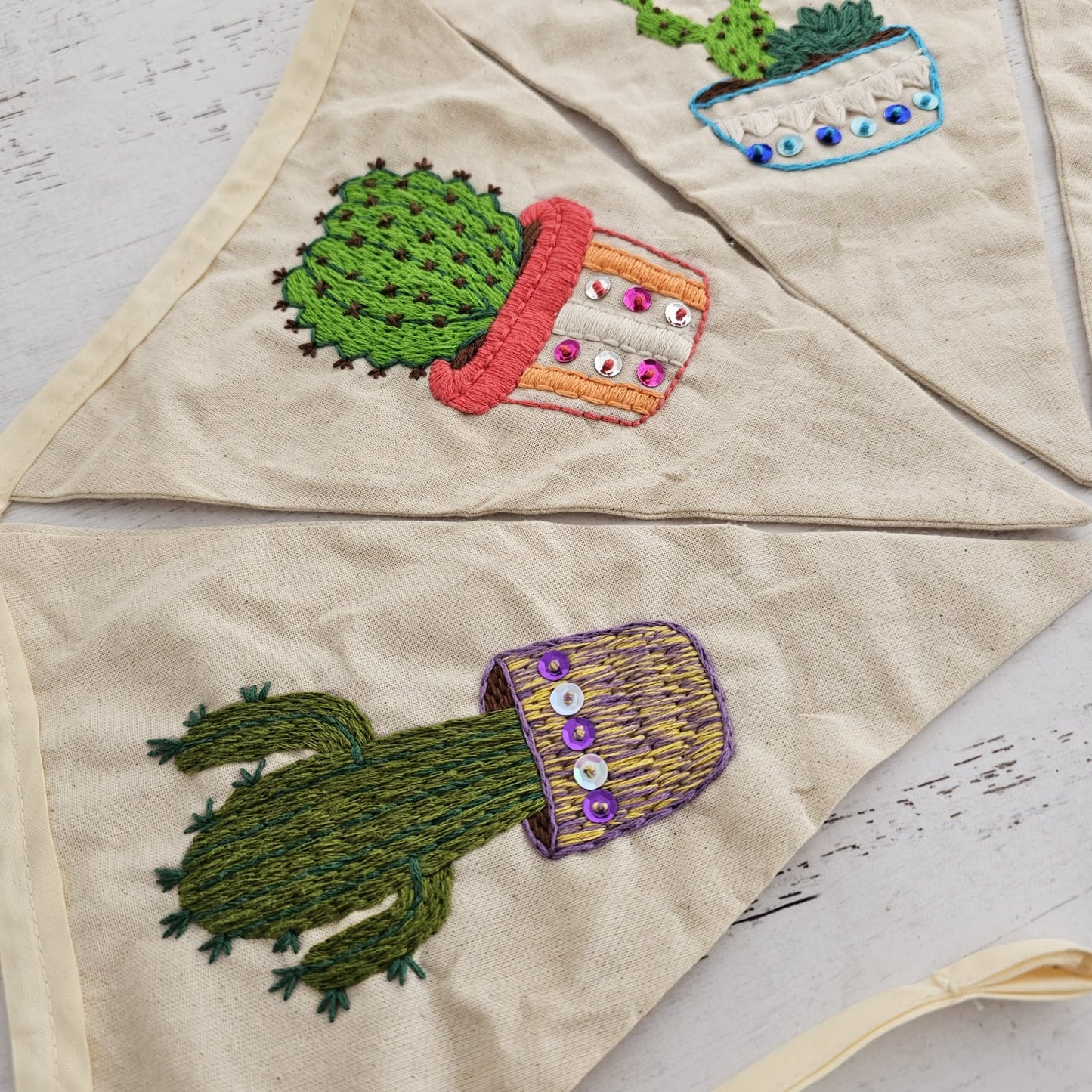 Kit banderines suculentas Florencia