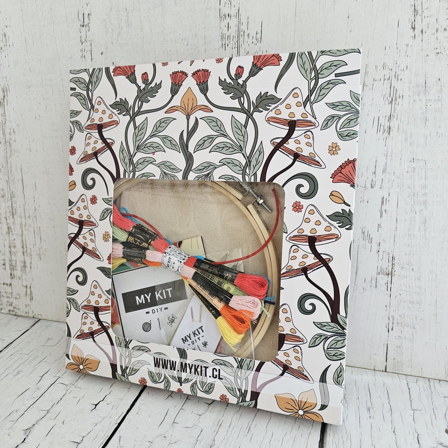 Kit mostrario de puntos