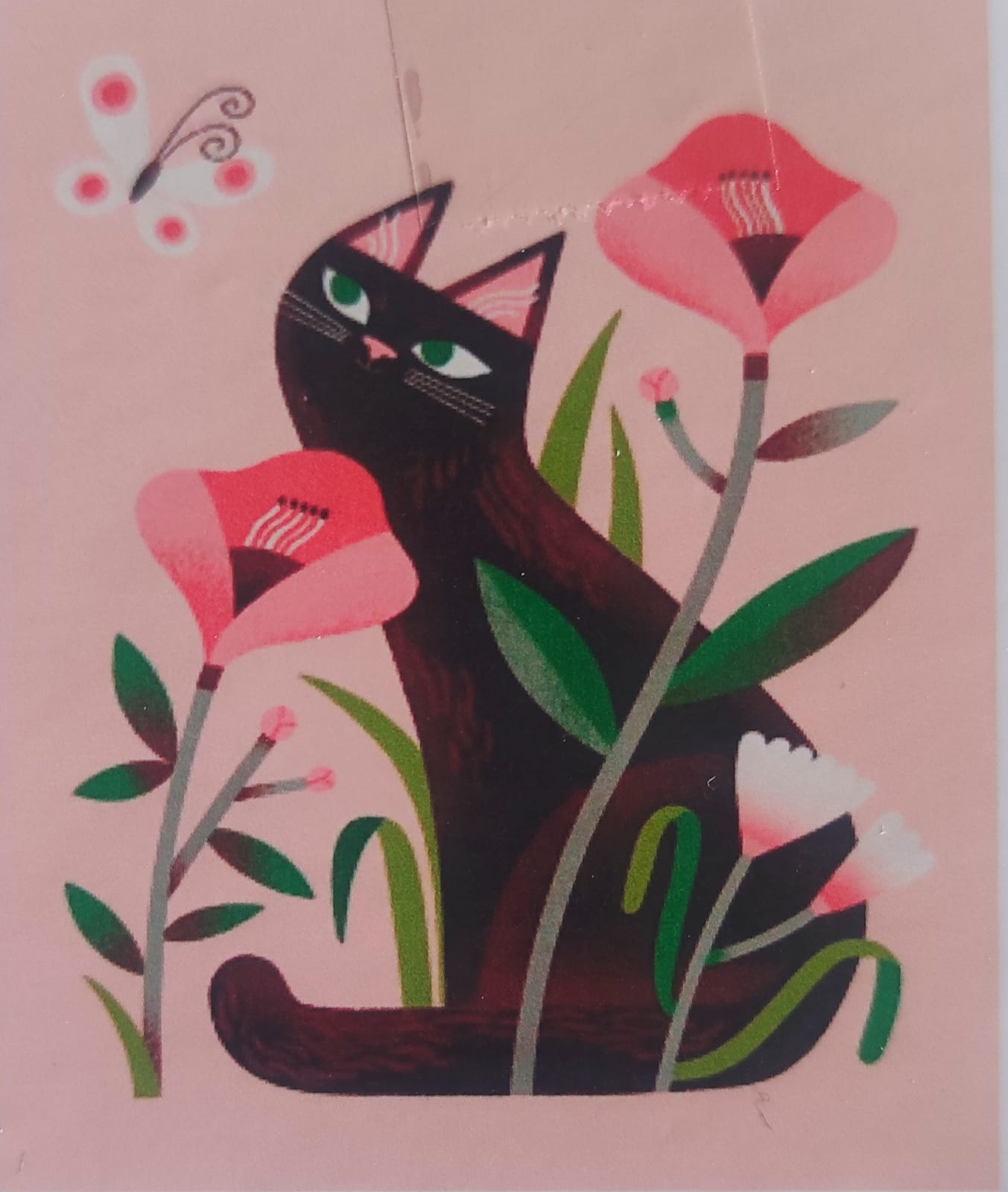 Kit pinta con diamantes 40 x 50 cm - Gata con flores
