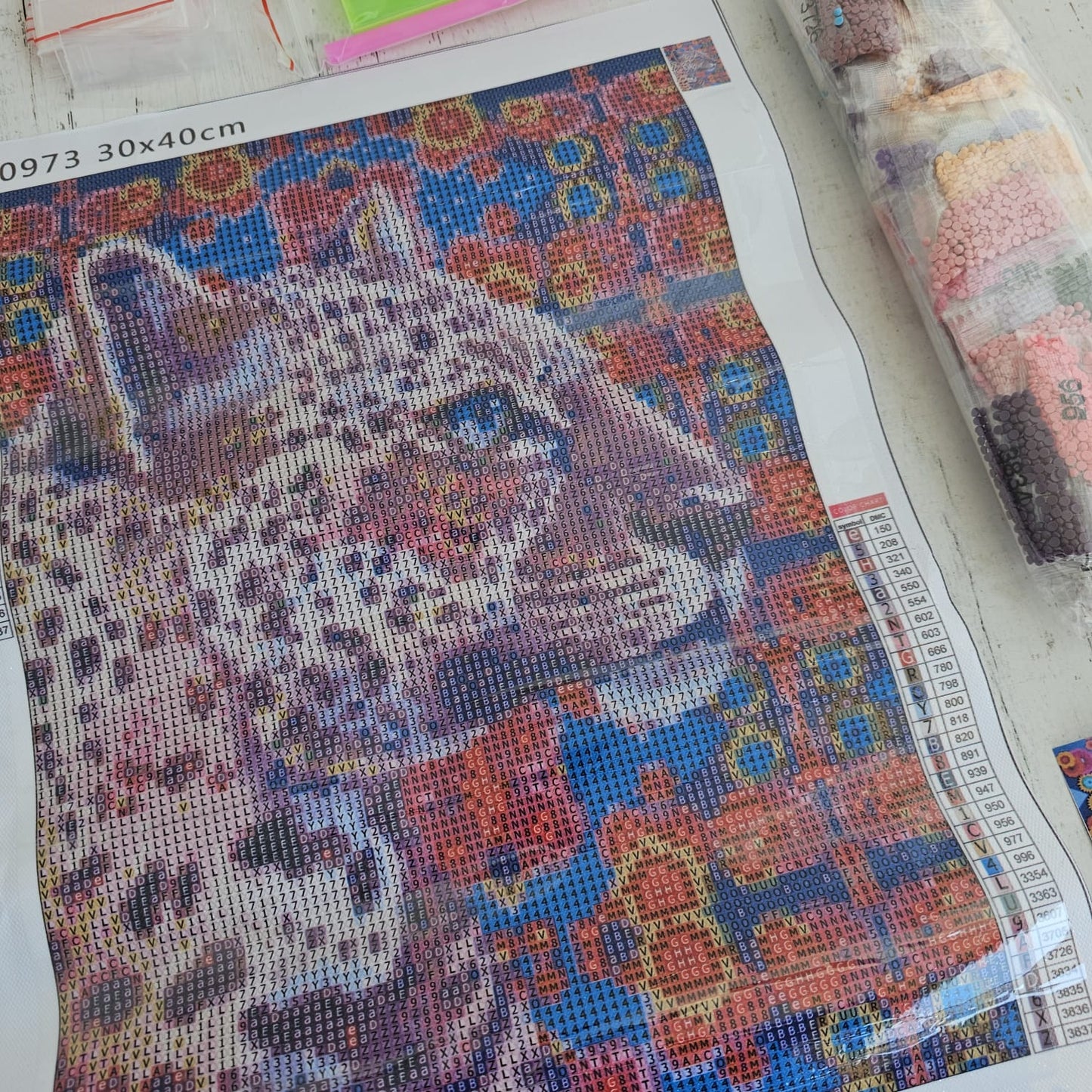 Kit pinta con diamantes 30 x 40 cm - Leopardo