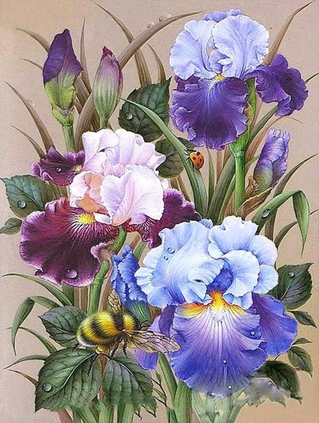 Kit pinta con diamantes 30 x 40 cm - Flores