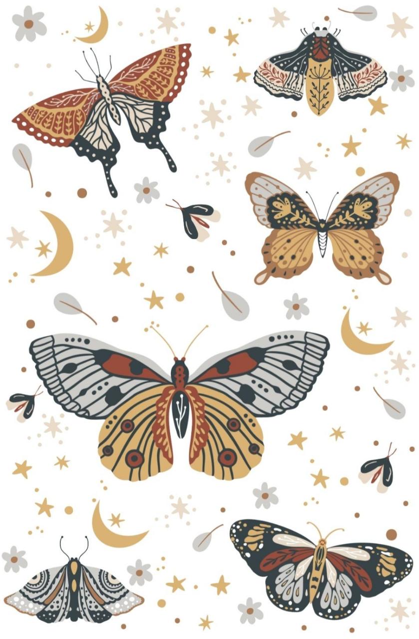 Kit pinta con diamantes 60x40 cm - Mariposario, diamantes CUADRADOS
