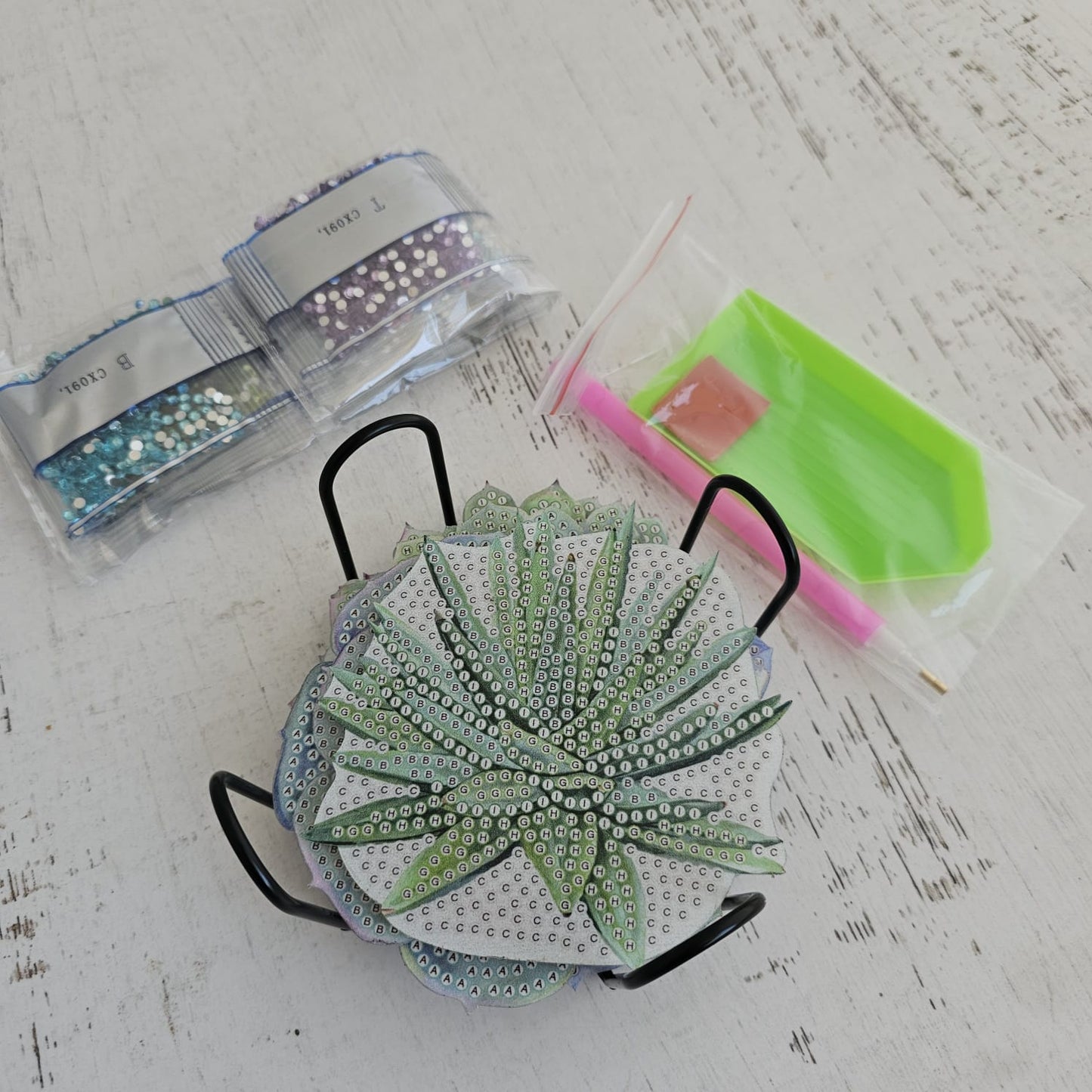Kit posavasos pinta con diamantes - Suculentas