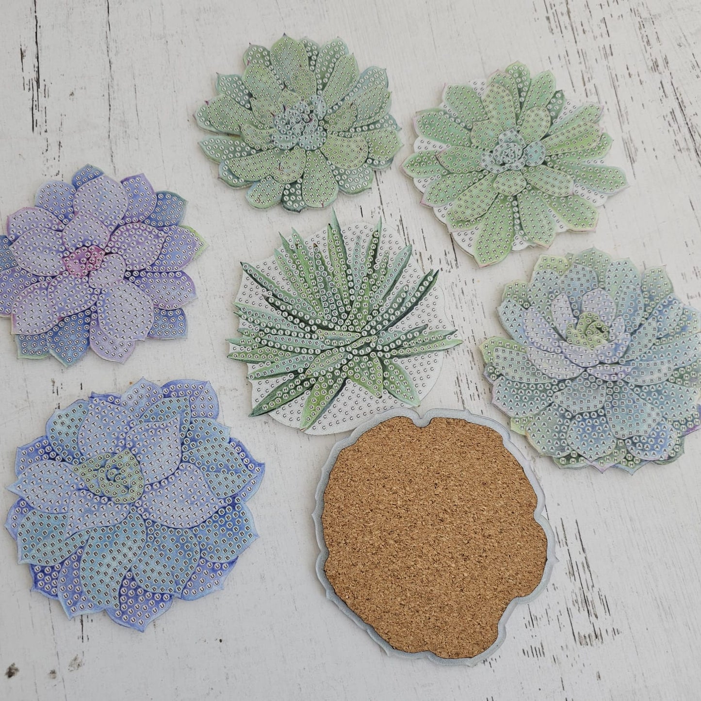 Kit posavasos pinta con diamantes - Suculentas