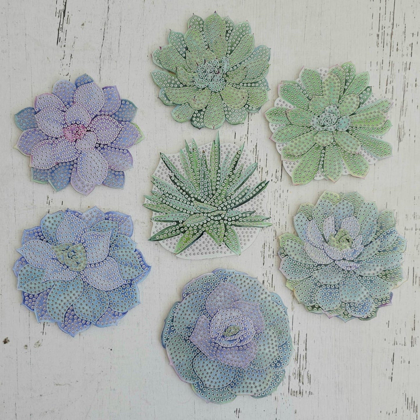 Kit posavasos pinta con diamantes - Suculentas