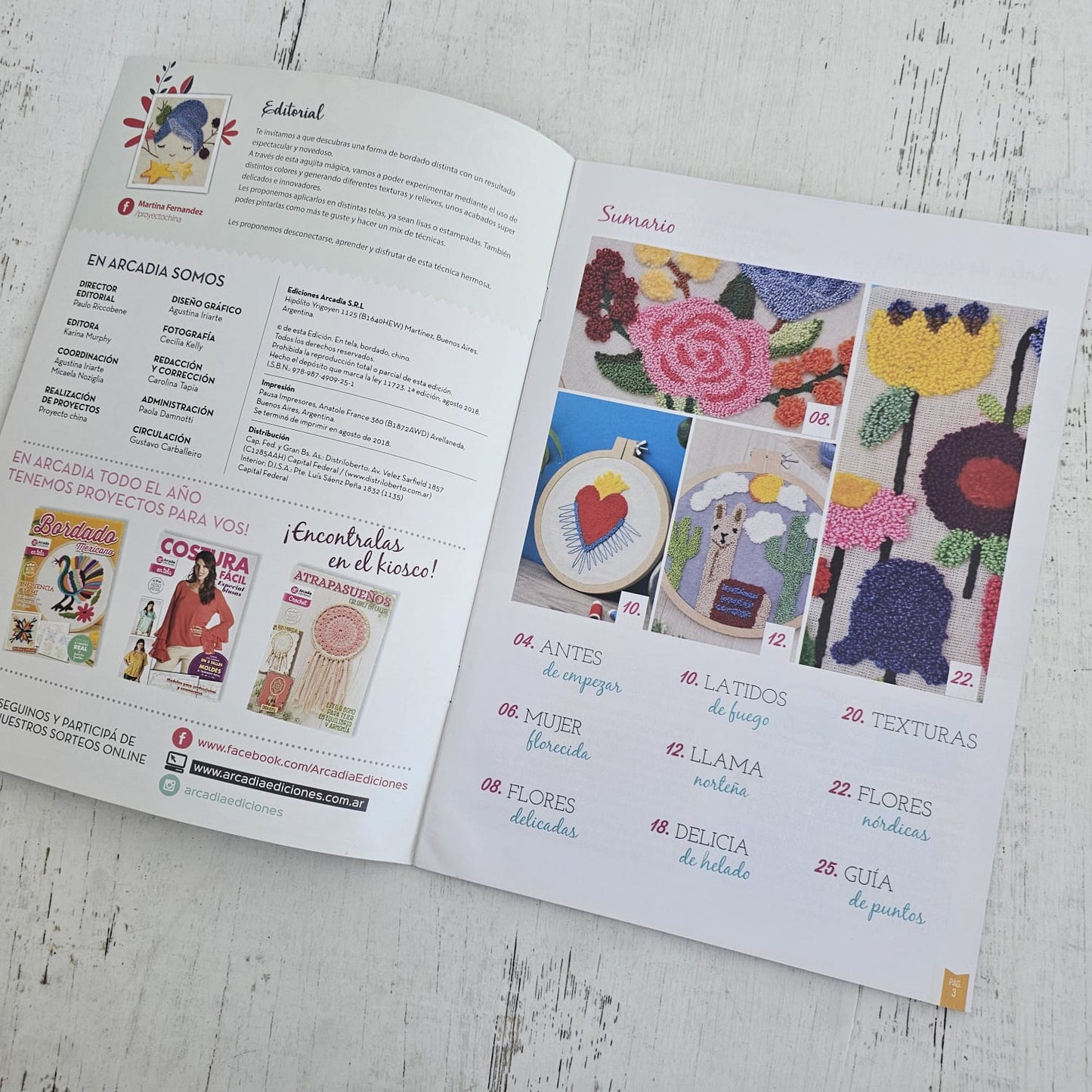 Revista bordado aguja mágica con hilo