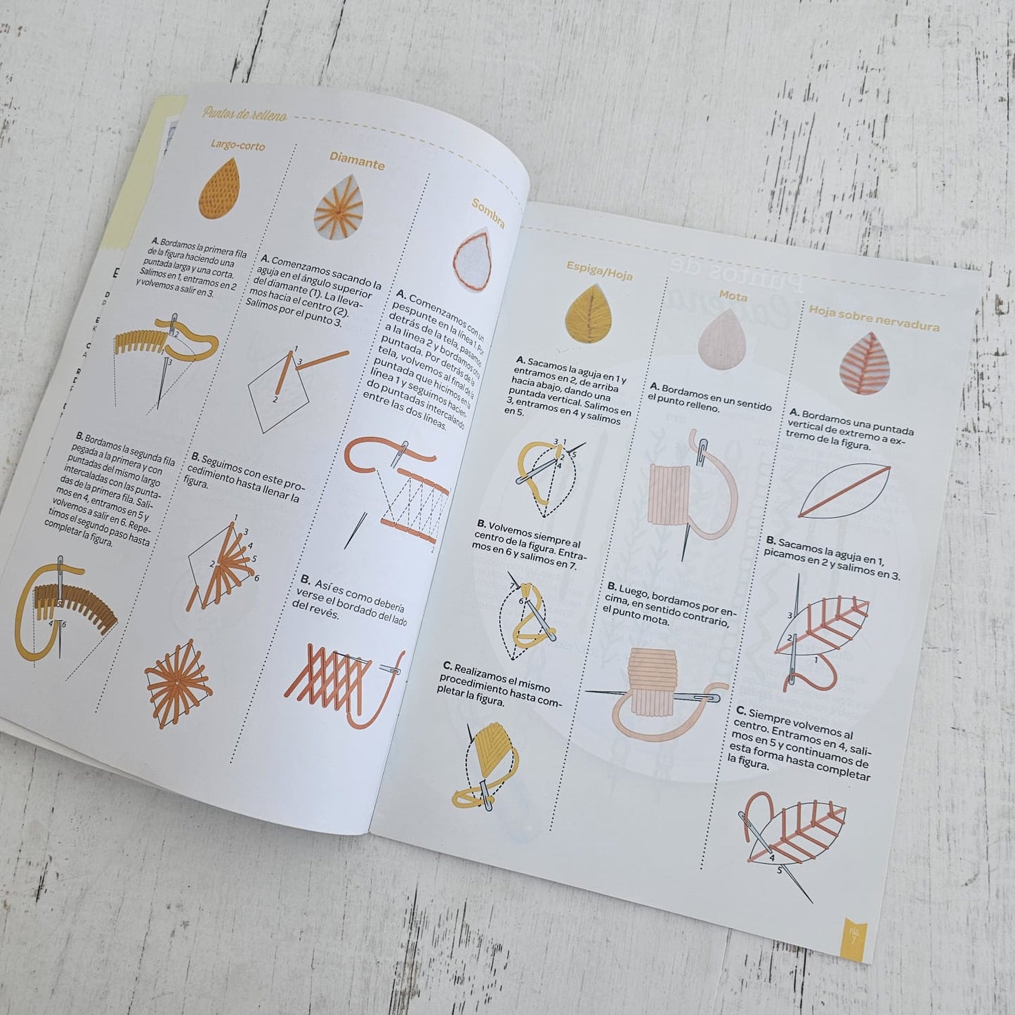 Revista de puntos para bordar
