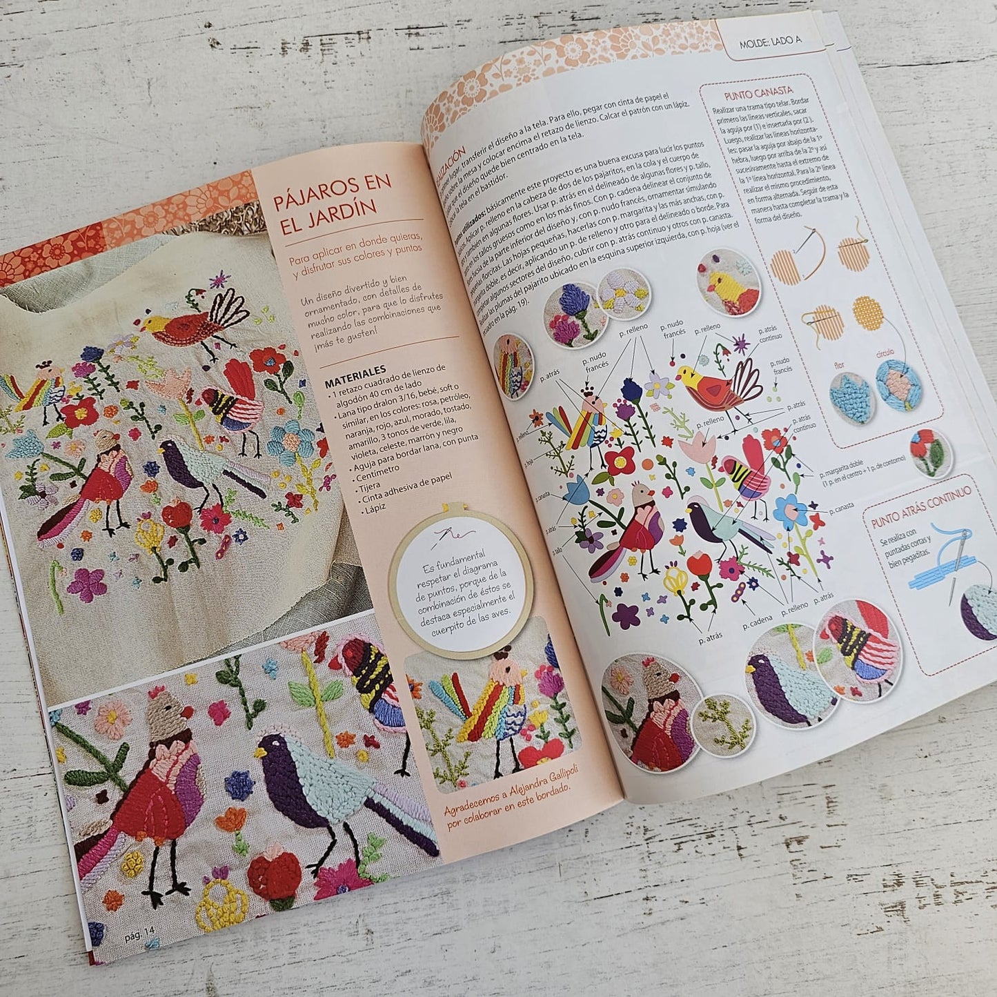 Revista de bordado pajaritos