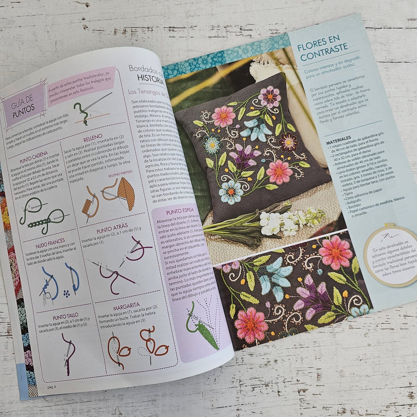 Revista de bordado pajaritos