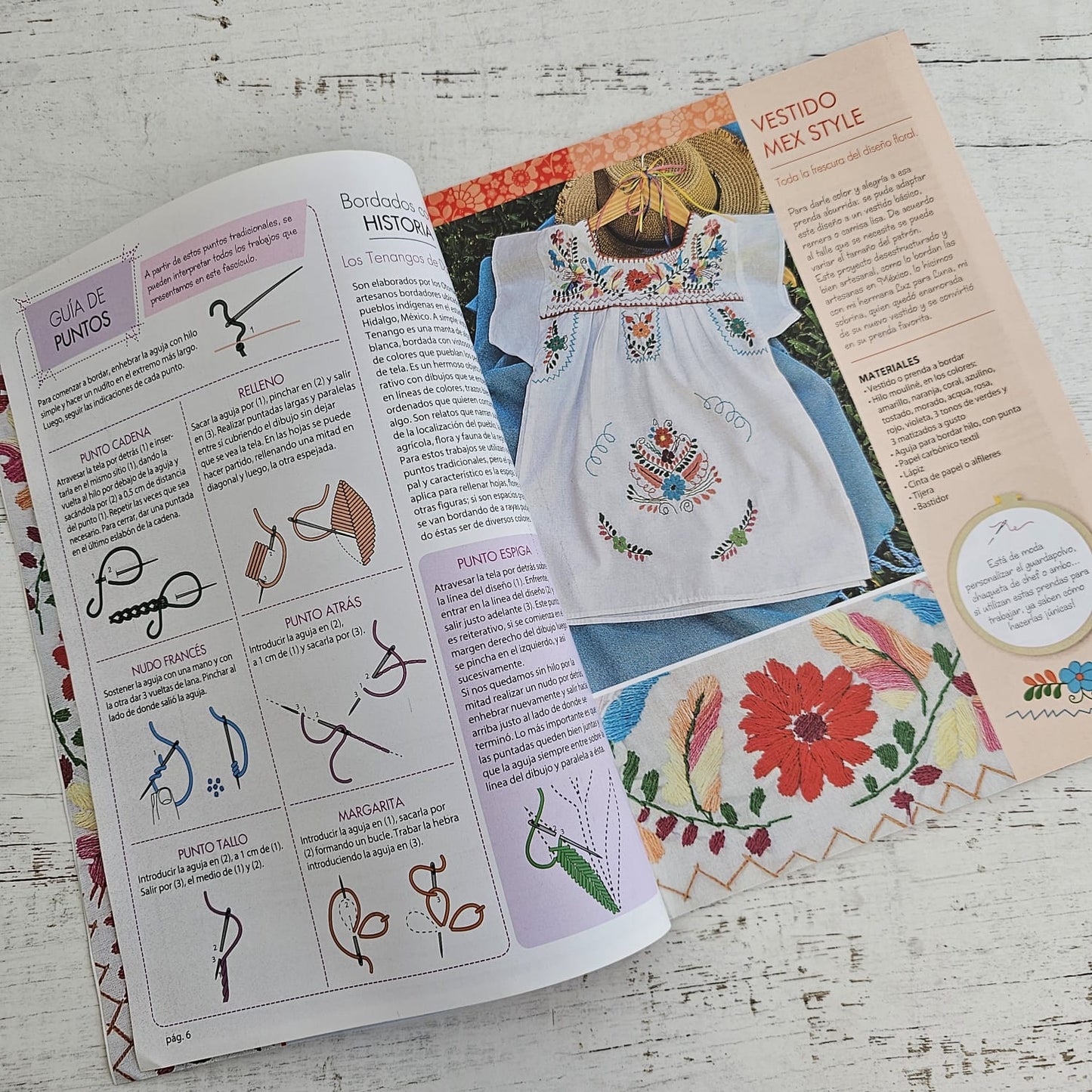 Revista de bordado bien mexicano
