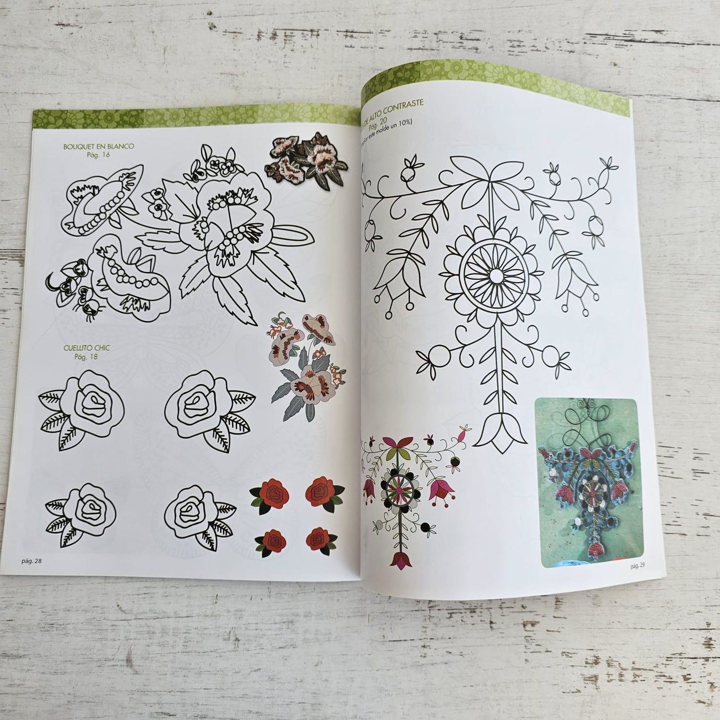 Revista de bordado Apliques