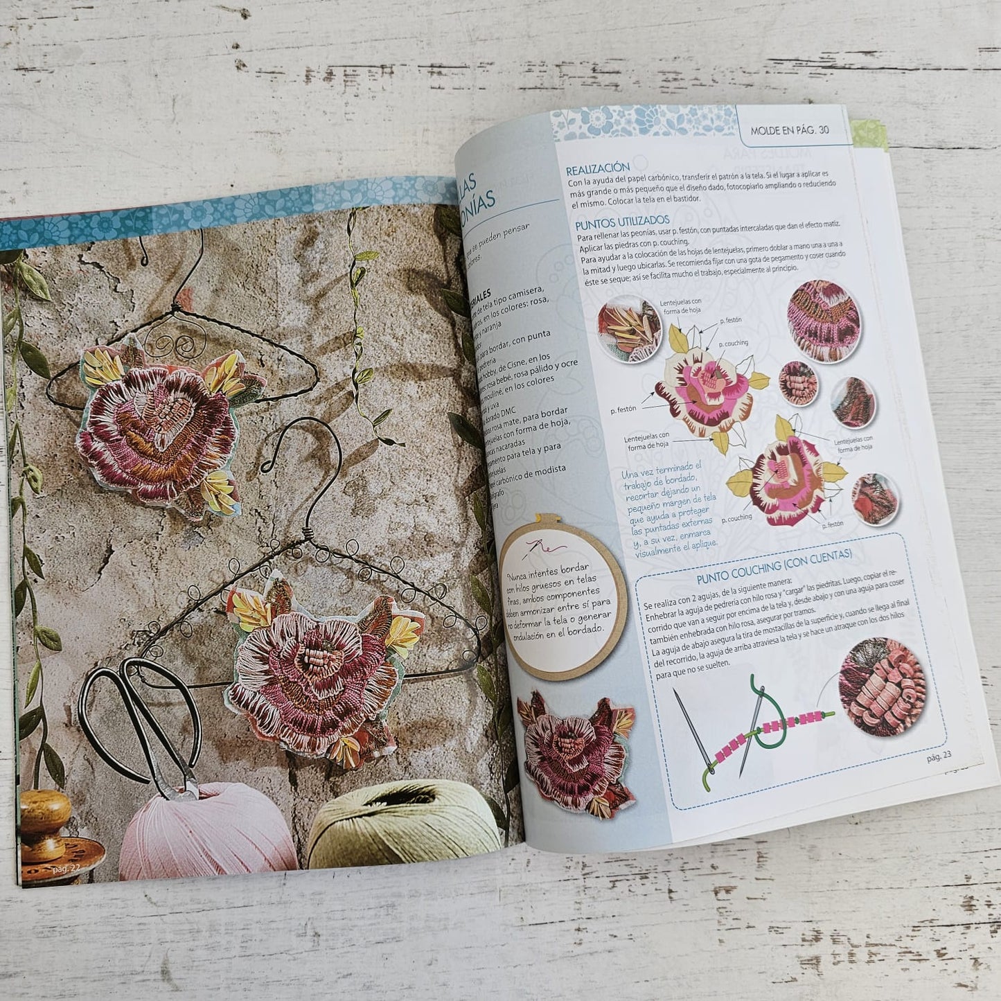 Revista de bordado Apliques
