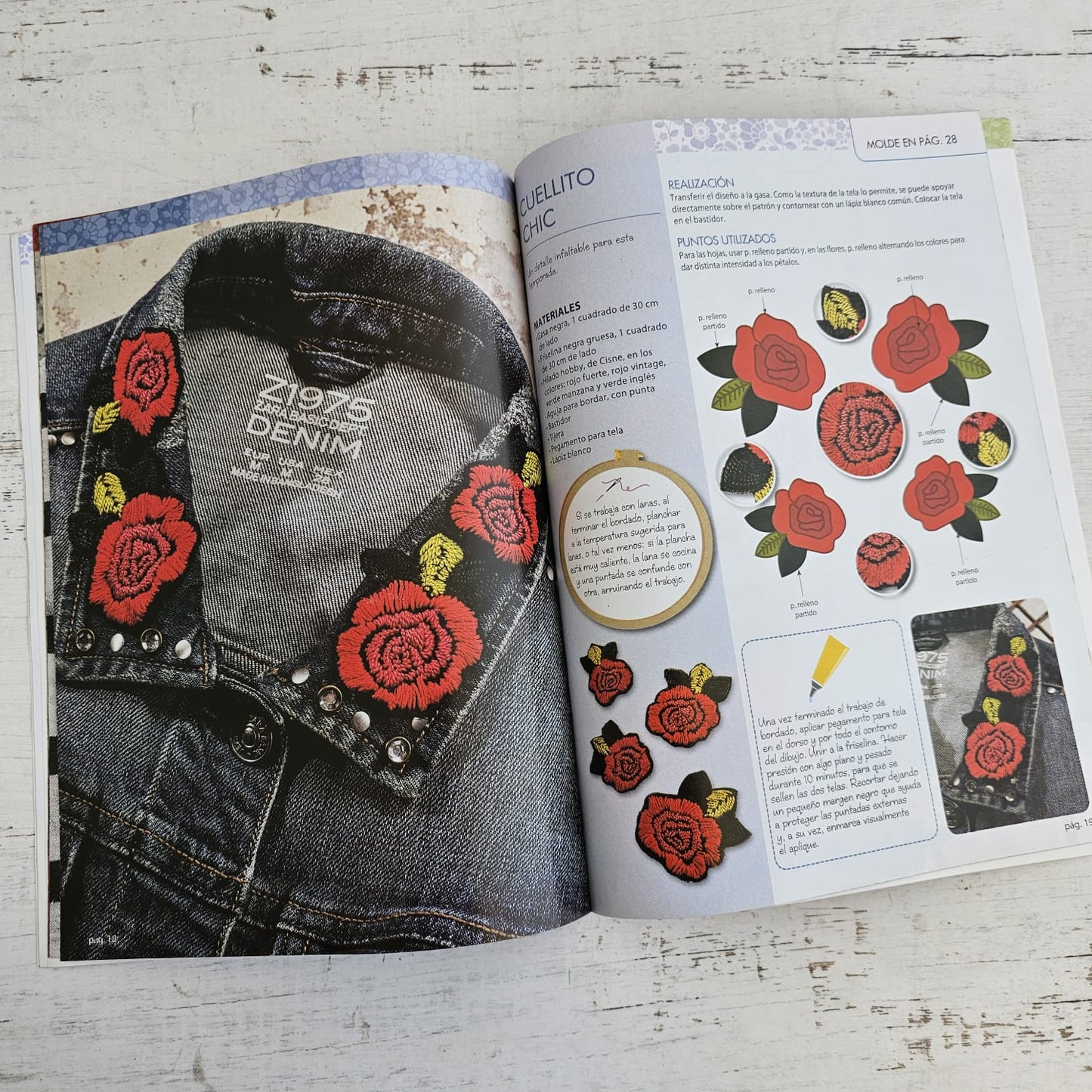 Revista de bordado Apliques