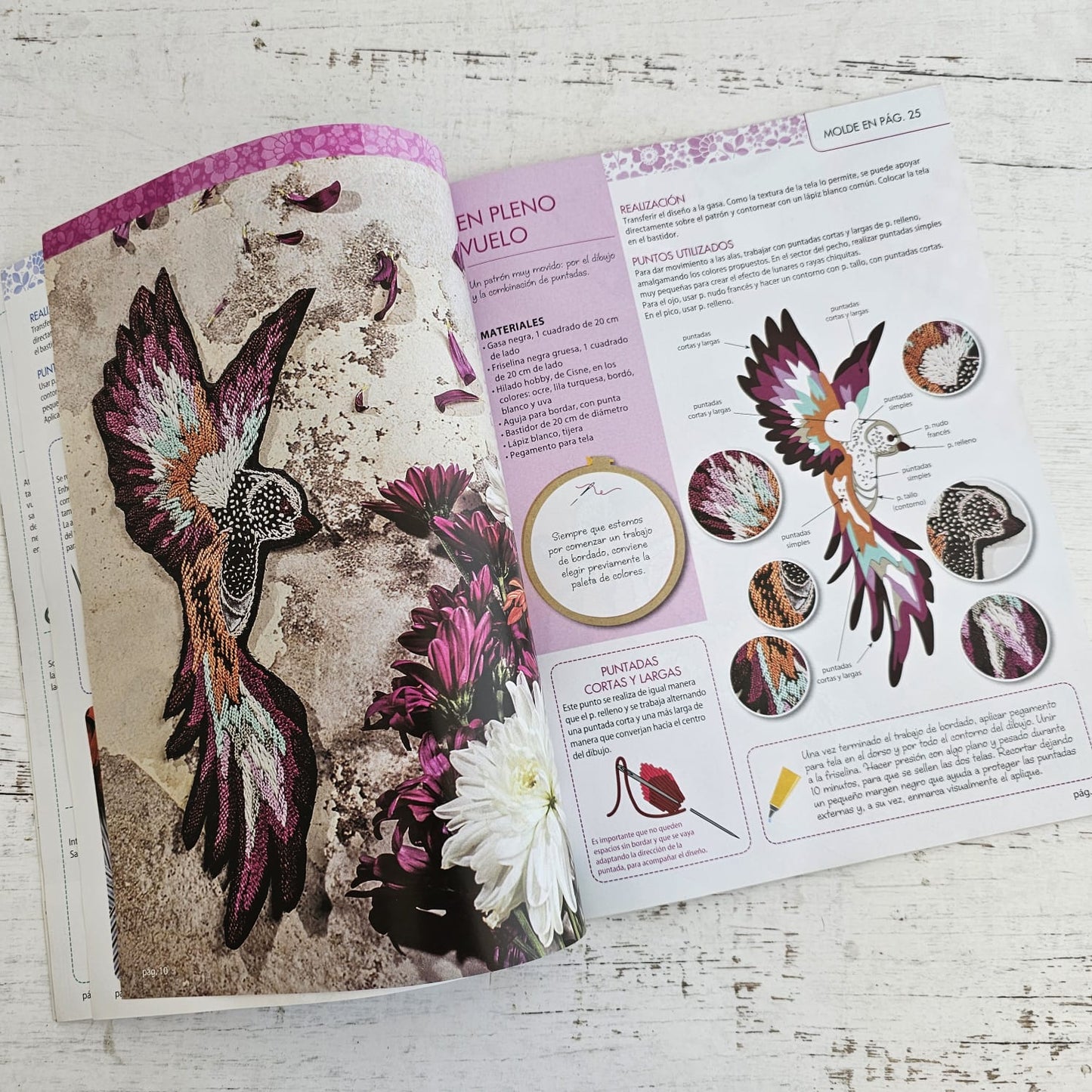 Revista de bordado Apliques