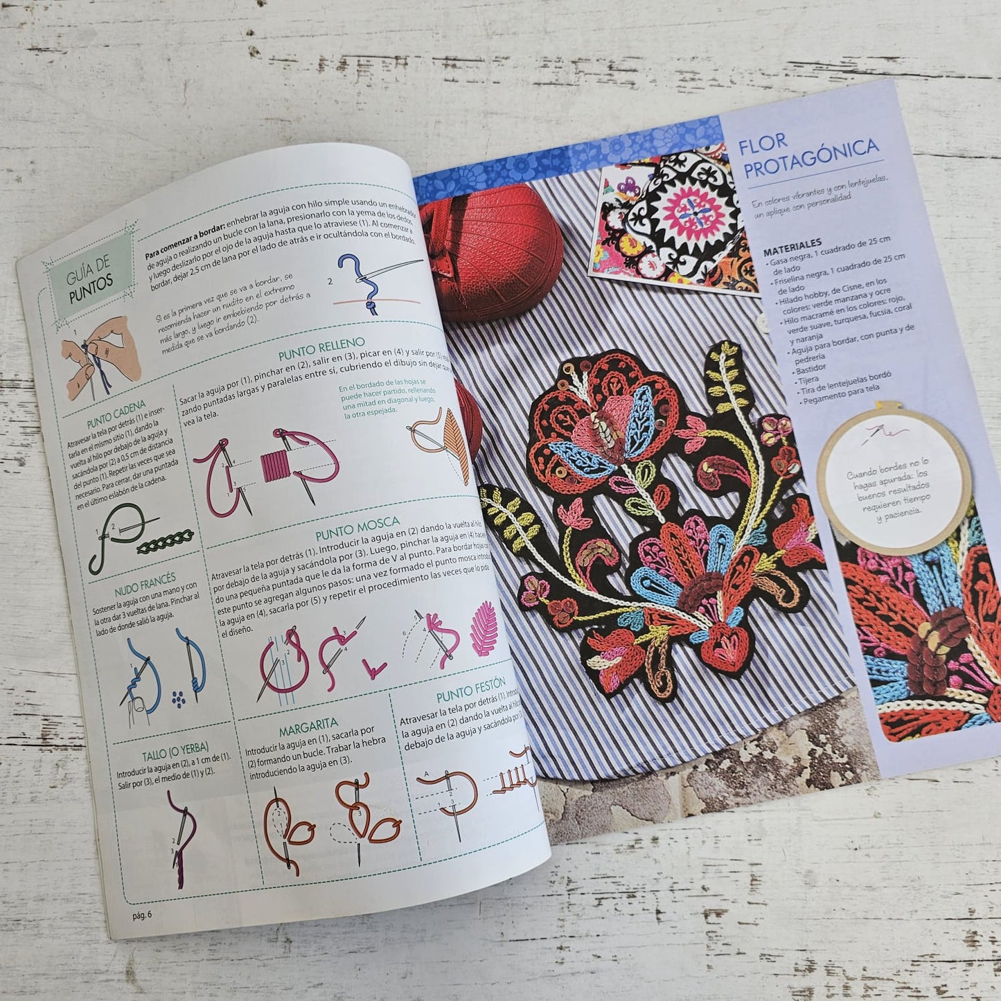 Revista de bordado Apliques