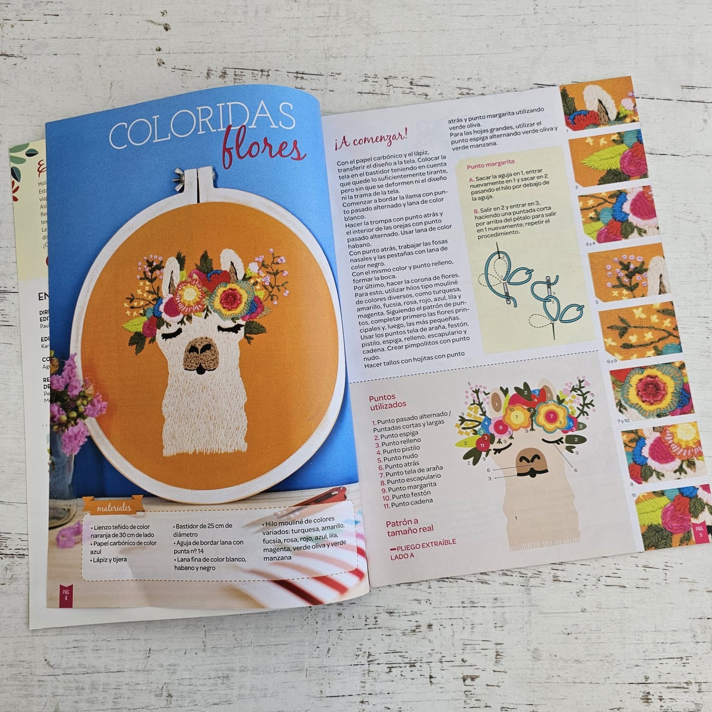 Revista de bordado Llamas