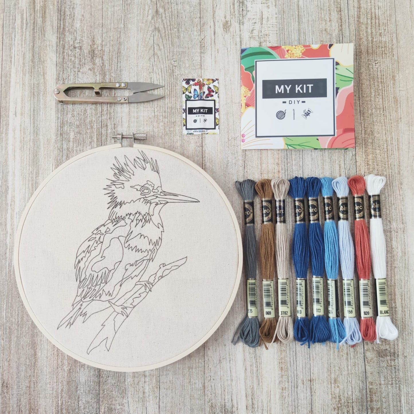Kit en bastidor con esquema de puntos - Martín pescador