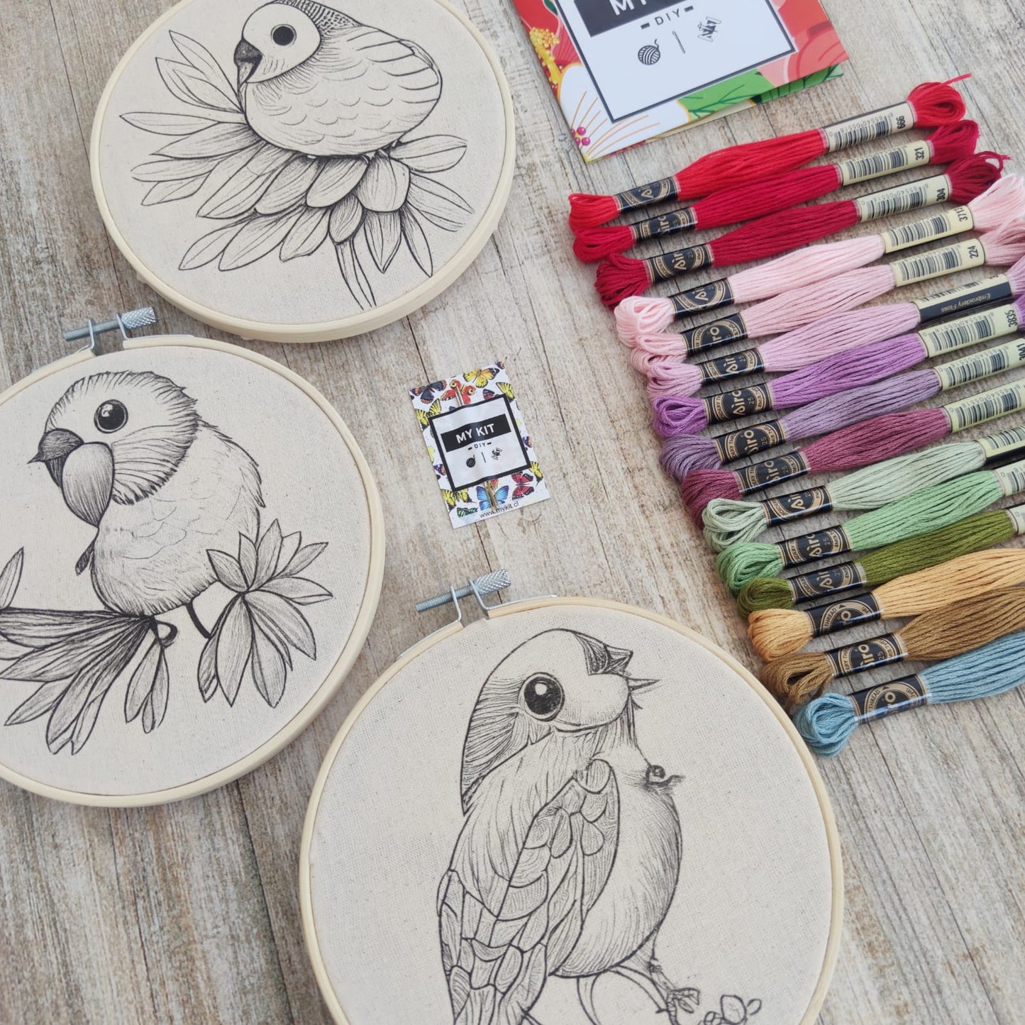 Kit Pájaros silvestres