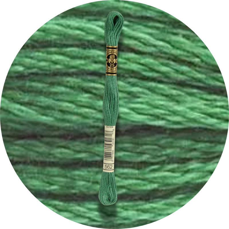 Hilo DMC Colores Verdes