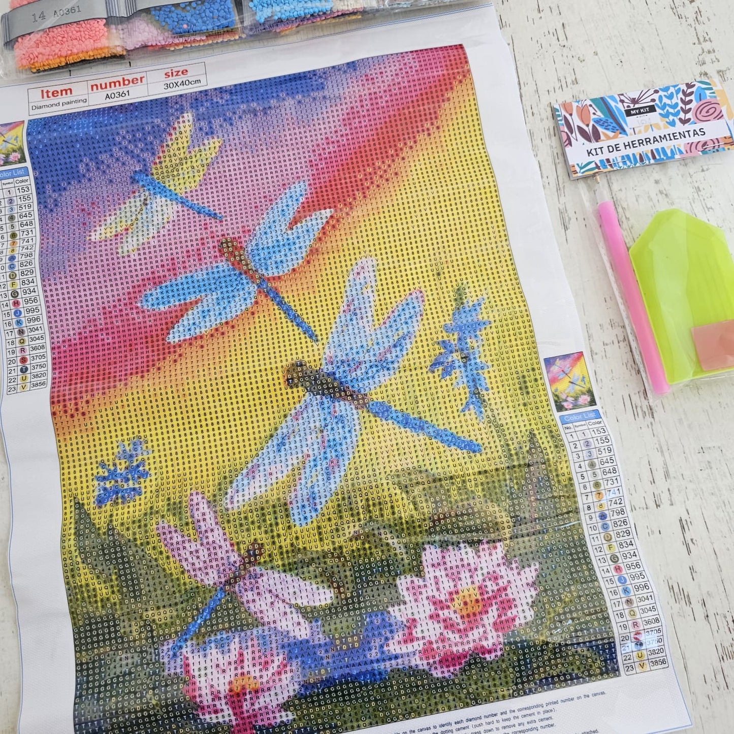 Kit pinta con diamantes 30 x 40 cm - Libélulas