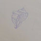 Kit 3 telas diseños CARACOLAS MARINAS