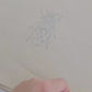Kit 3 telas diseños Insectos