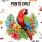 Kit punto cruz - Guacamayo