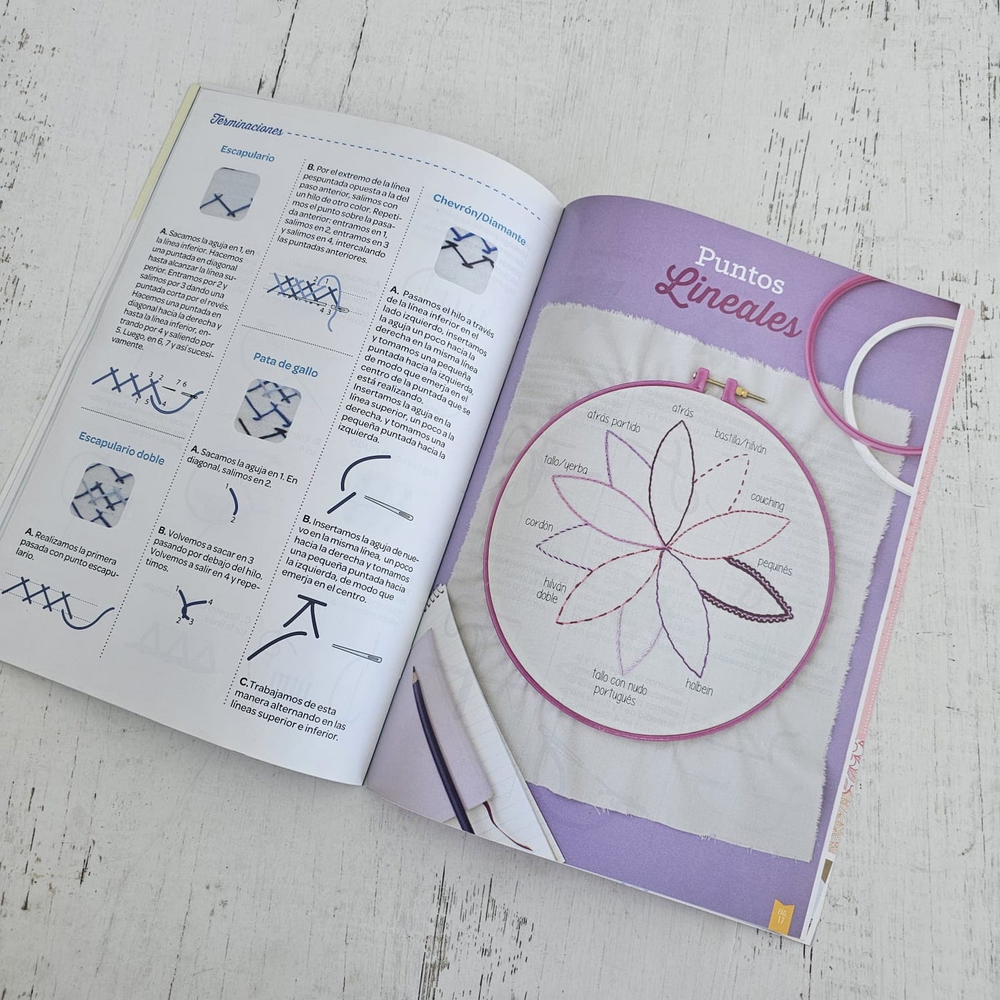 Revista de puntos para bordar