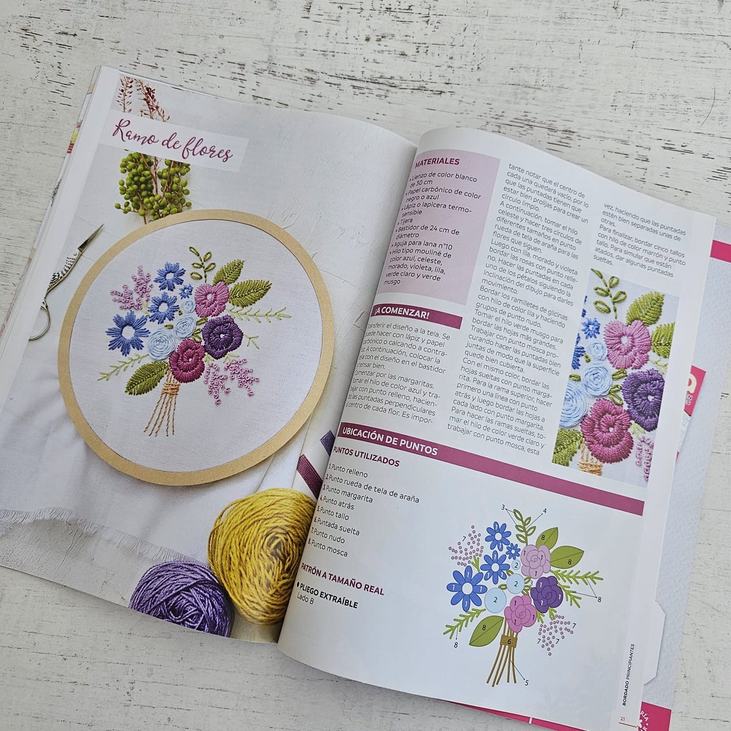 Revista bordado para principiantes