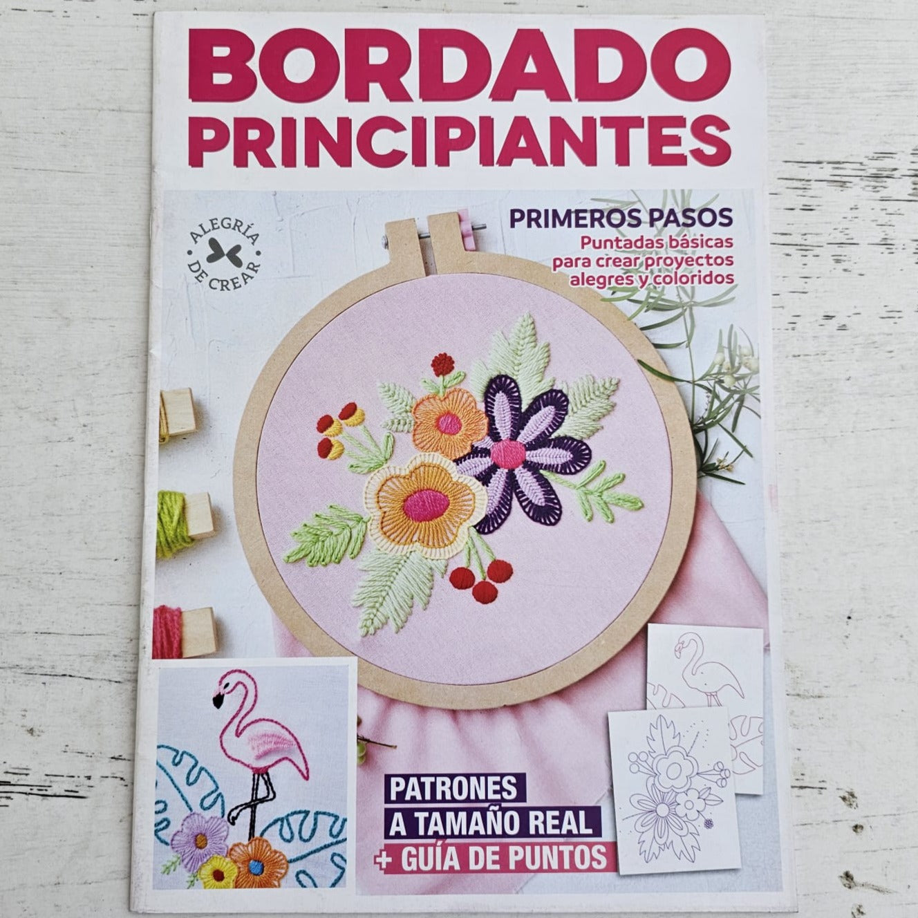 Revista bordado para principiantes