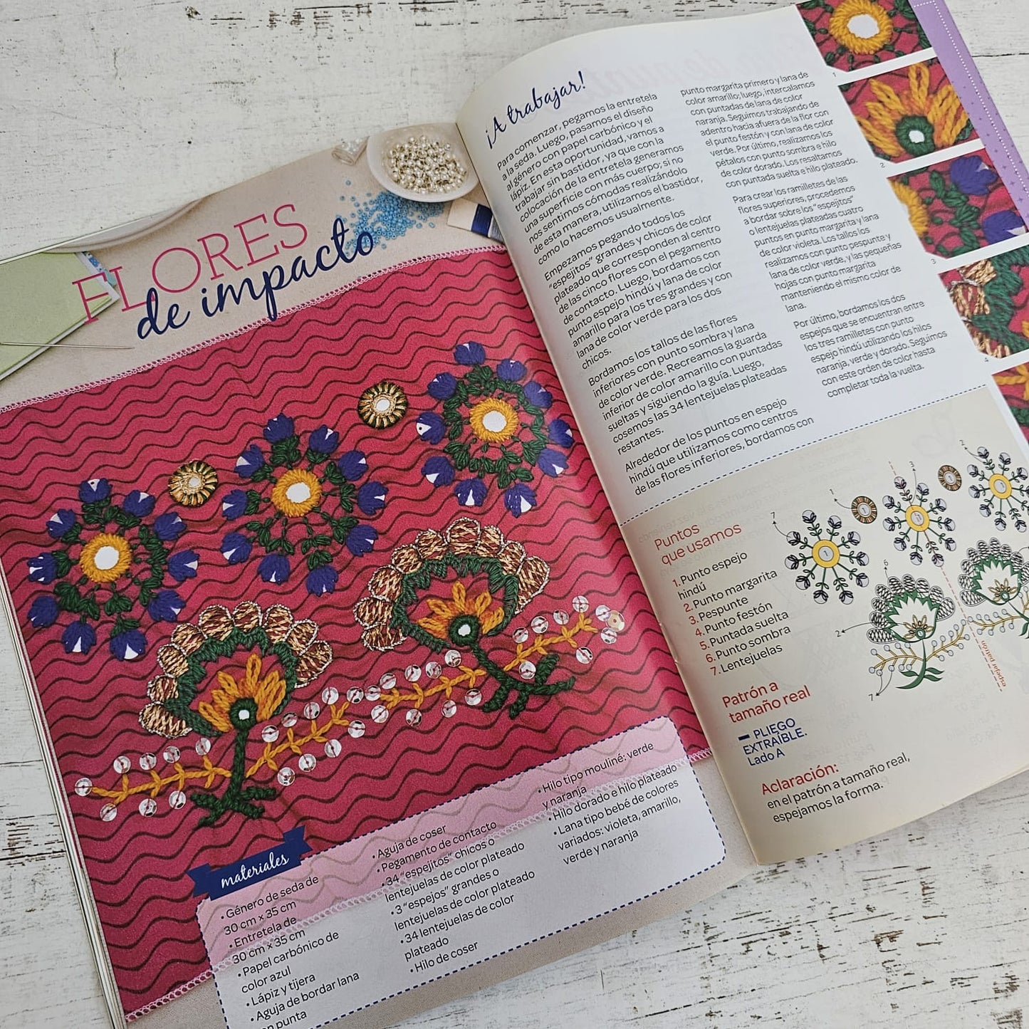 Revista de bordado Hindú