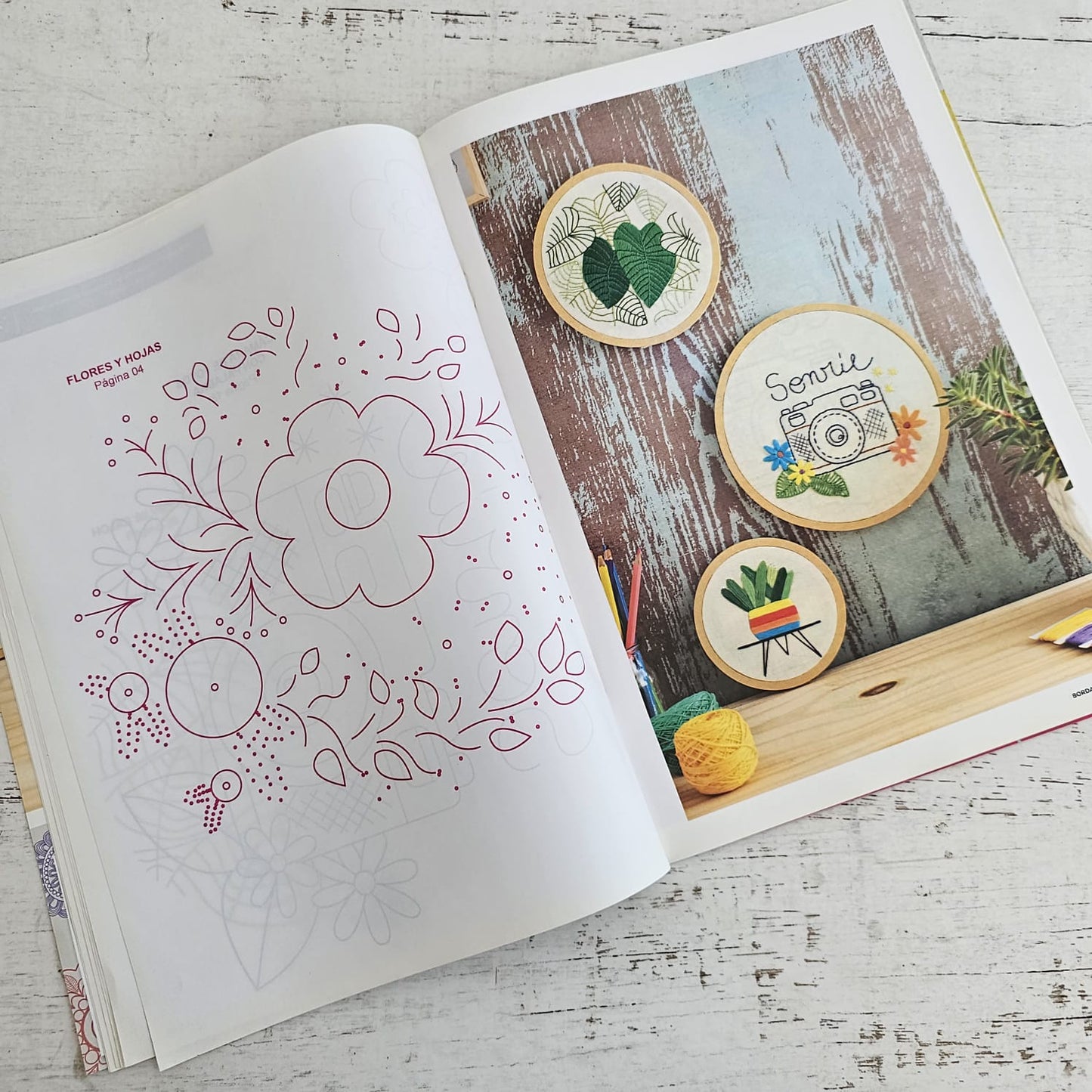 Revista de bordado Decorativo