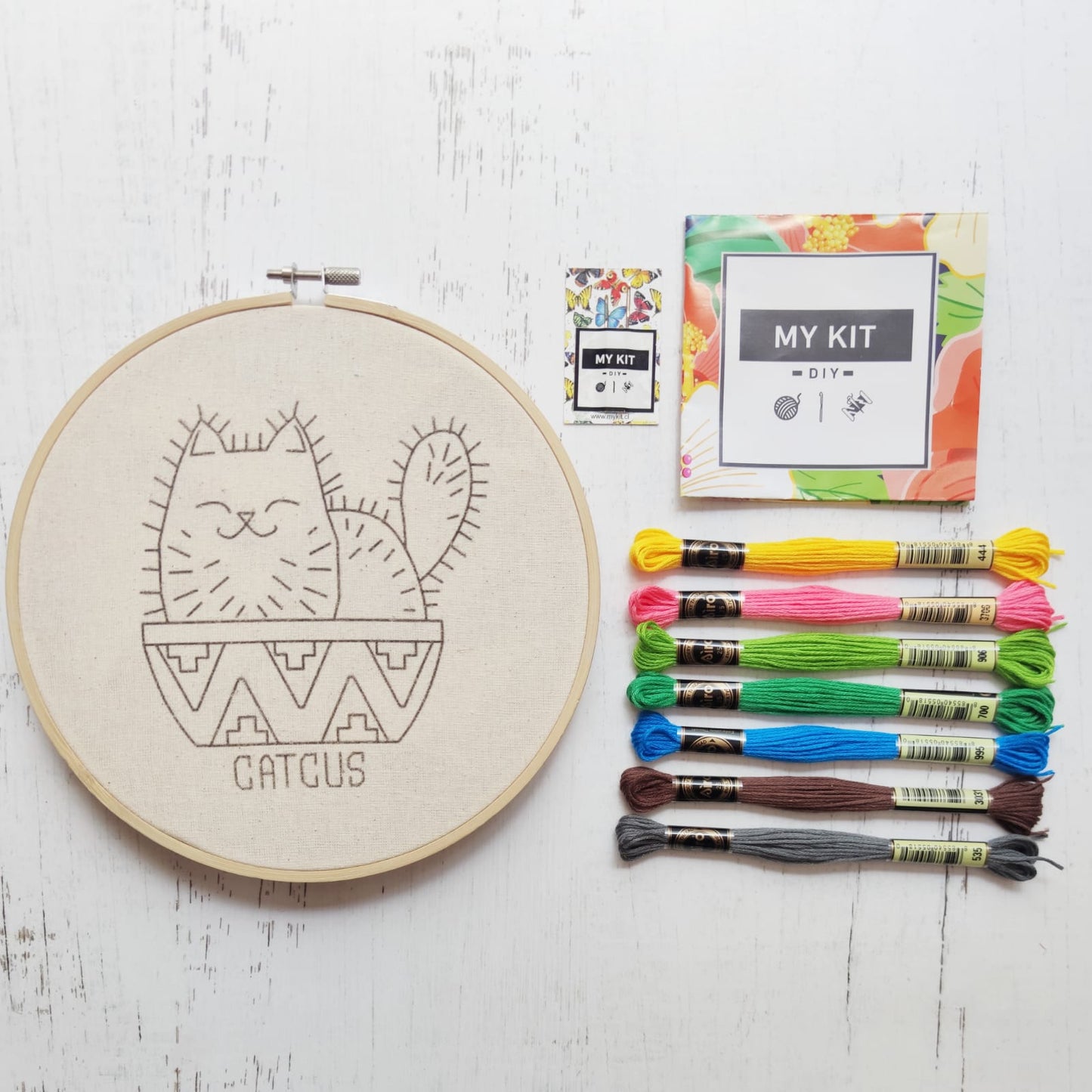 Kit Gato cactus
