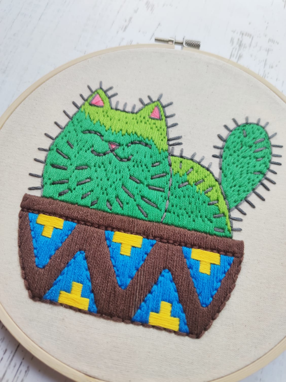 Kit Gato cactus