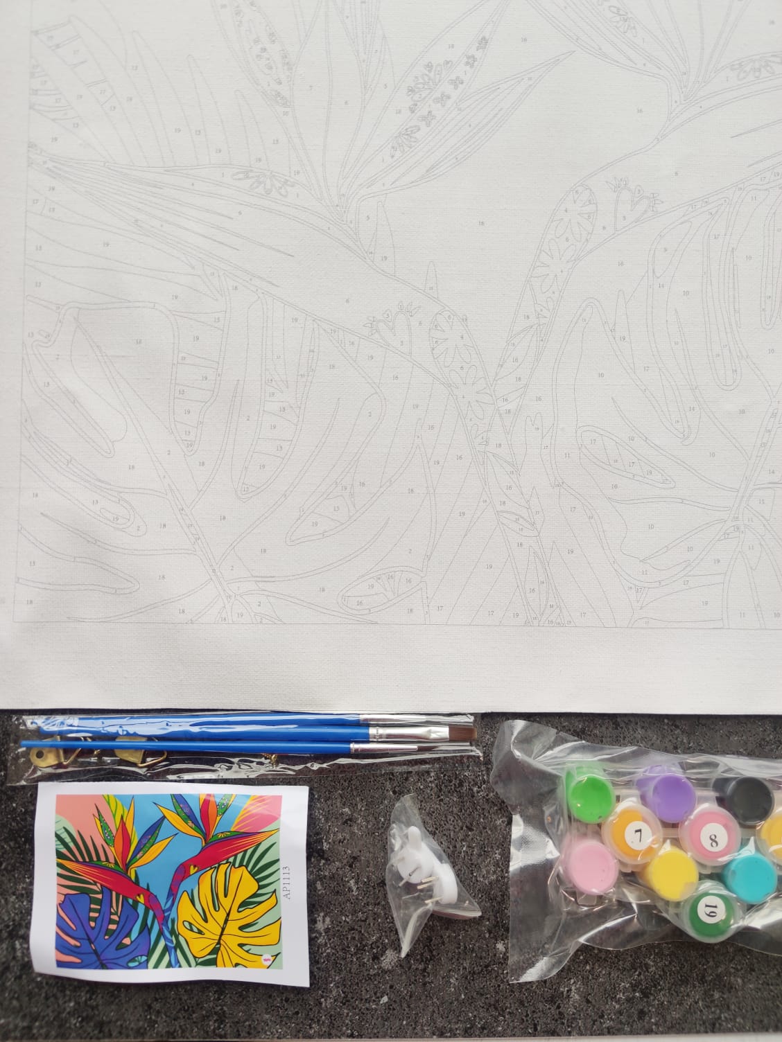 Kit Pinta por Número 30x40 cm - Hojas tropicales - ANGELITO PEÑARANDA