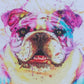 Kit pinta con diamantes 50x40 cm - Bulldog